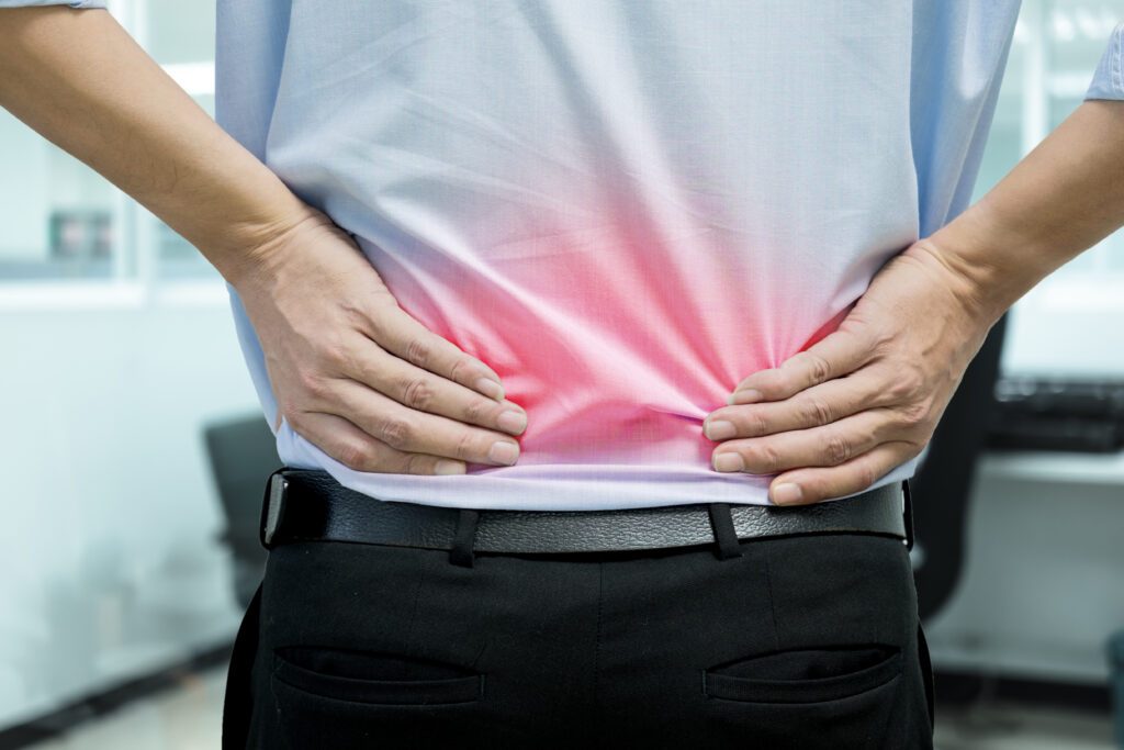 Physical therapist vs chiropractor for back pain